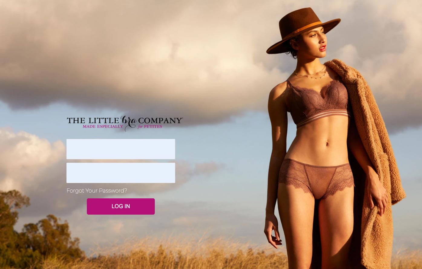 The Little Bra Company